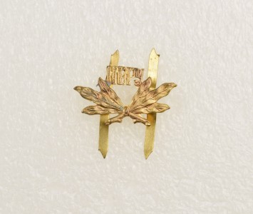 Знак на фуражку НВ-реальное училище.